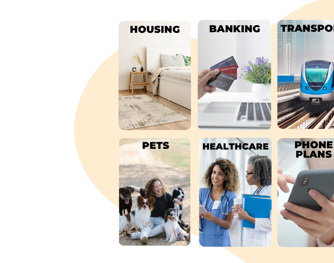 photo showing some of the Categories you get access on Matutto: Housing, Banking, Transport, Pets, Healthcare and Phone Plans